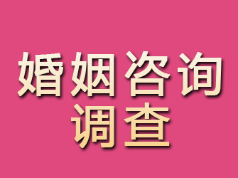 永仁婚姻咨询调查