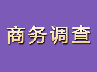 永仁商务调查